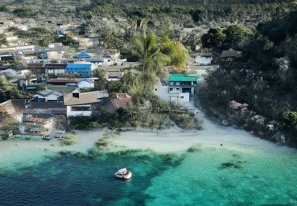 弗拉霍维奇崛起之路：天赋异禀，未来可期